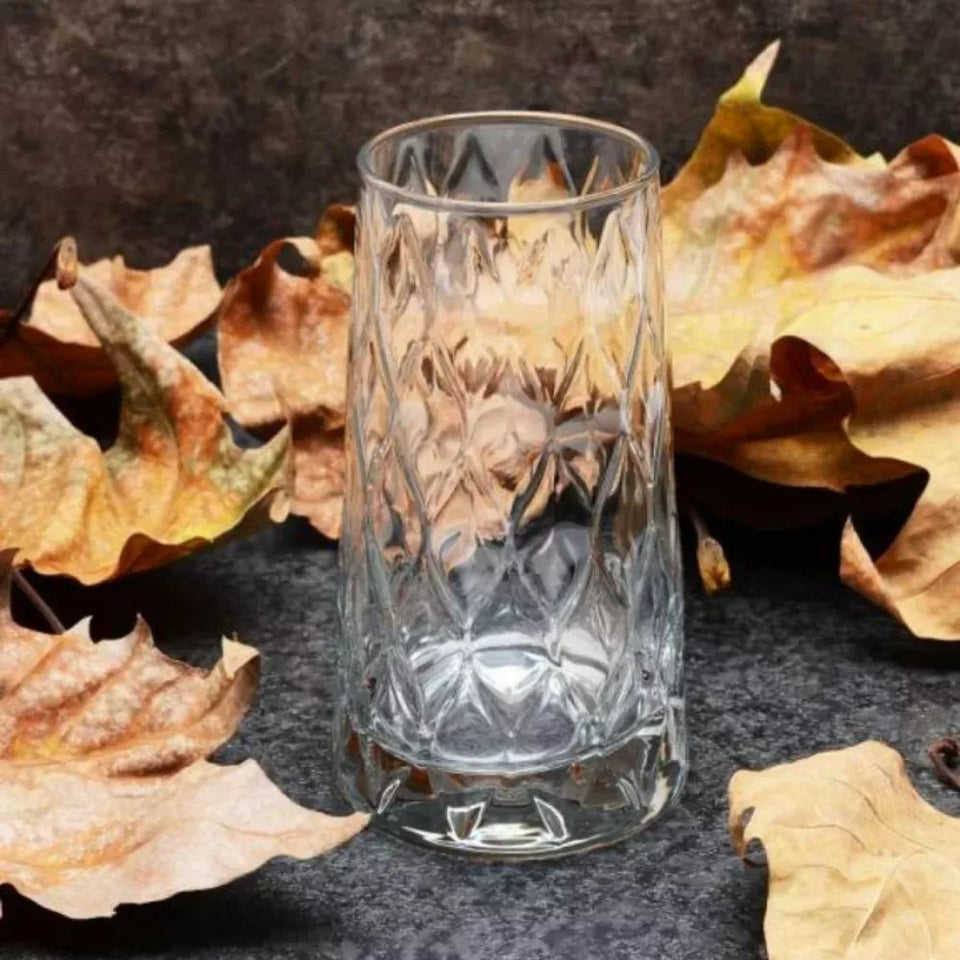 Paşabahçe Leafy Highball Glasses 450 mL - Set of 4